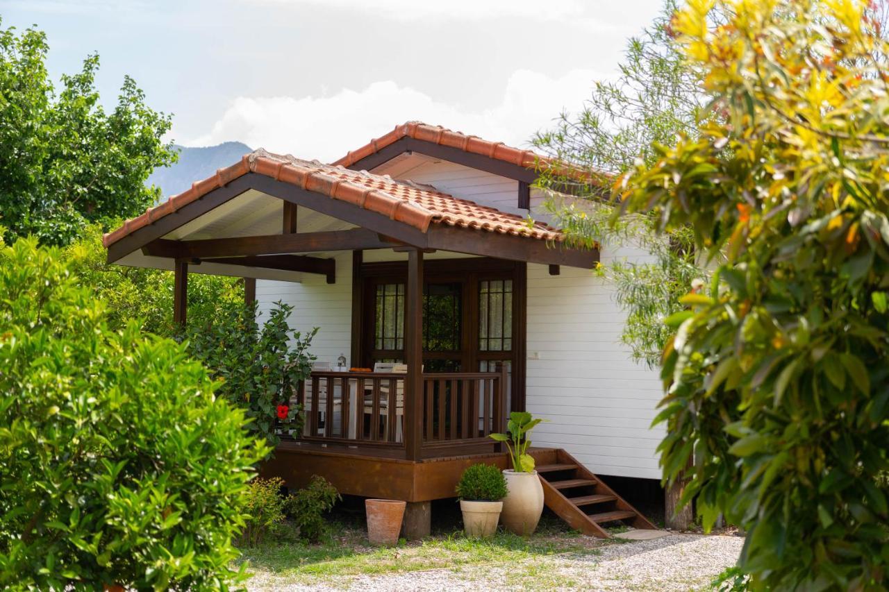 Kimera - Akdeniz Bahcesi Apart Hotel Чирали Экстерьер фото