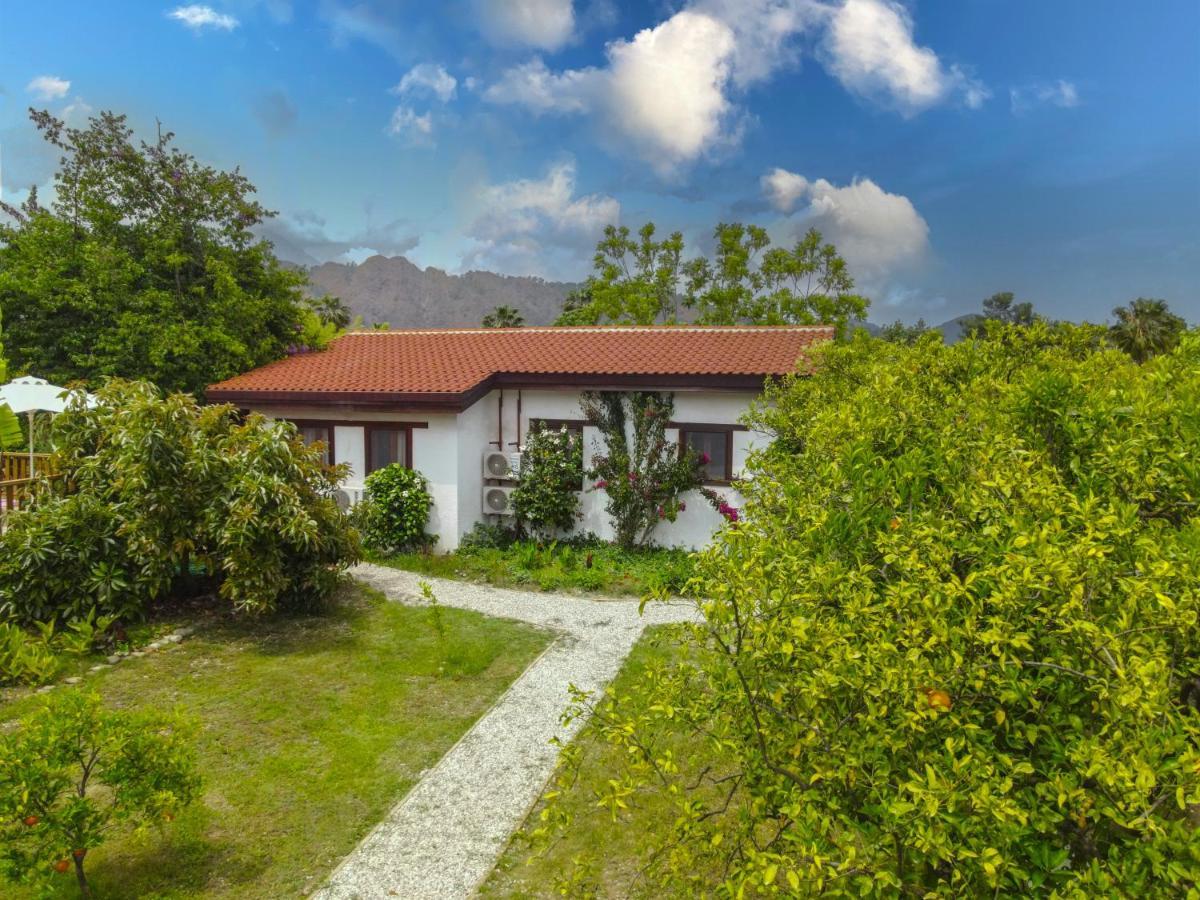 Kimera - Akdeniz Bahcesi Apart Hotel Чирали Экстерьер фото