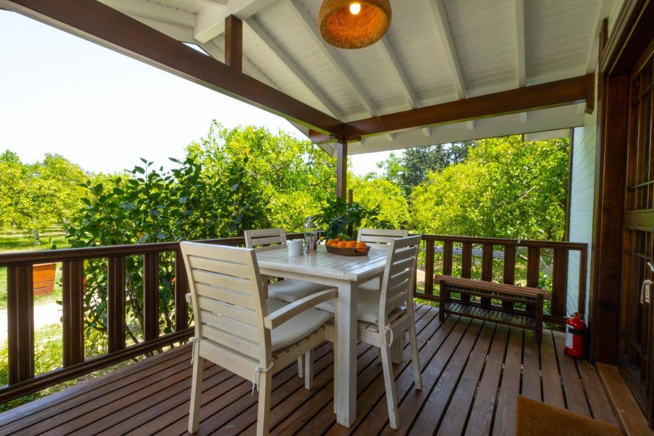 Kimera - Akdeniz Bahcesi Apart Hotel Чирали Экстерьер фото